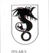 FFS A-B 5.jpg